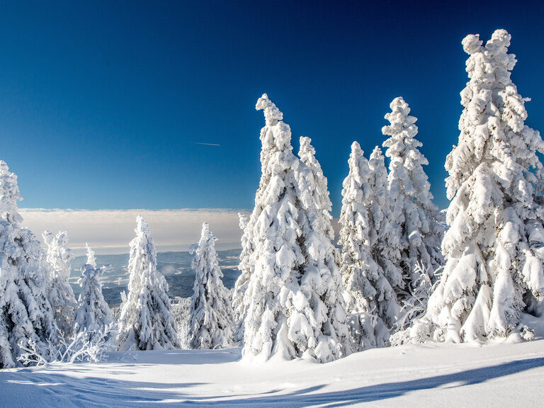 Verschneite Winterlandschaft im Bayerischen Wald