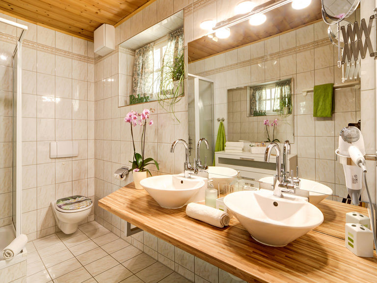 Ferienwohnung Harlachberg  -  Badezimmer mit Doppelwaschtisch und Dusche WC