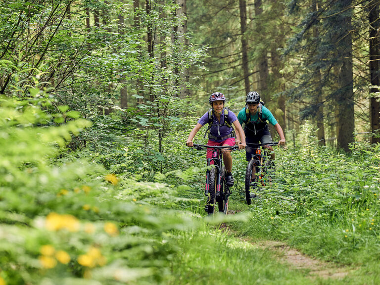 Die Radsportler meistern anspruchsvolles Gelände im Wald auf einem Mountainbike.