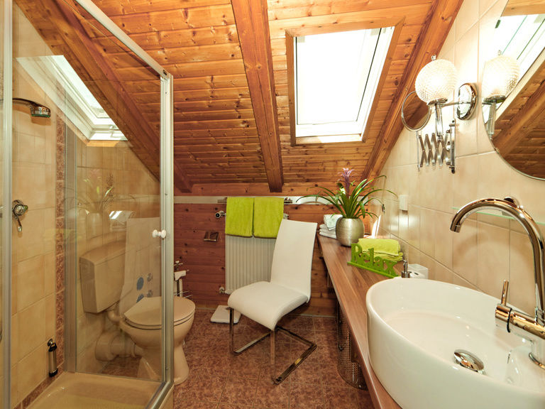 Badezimmer mit Dusche/WC in der Ferienwohnung Arber in Bodenmais