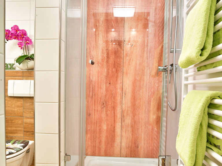 Detailaufnahme Bad mit Dusche/WC in der Ferienwohnung Arbersee in Bodenmais