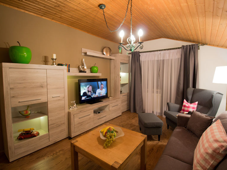 Gemütliches Wohnzimmer mit großem Flachbildschrim in der Ferienwohnung Hirschenstein