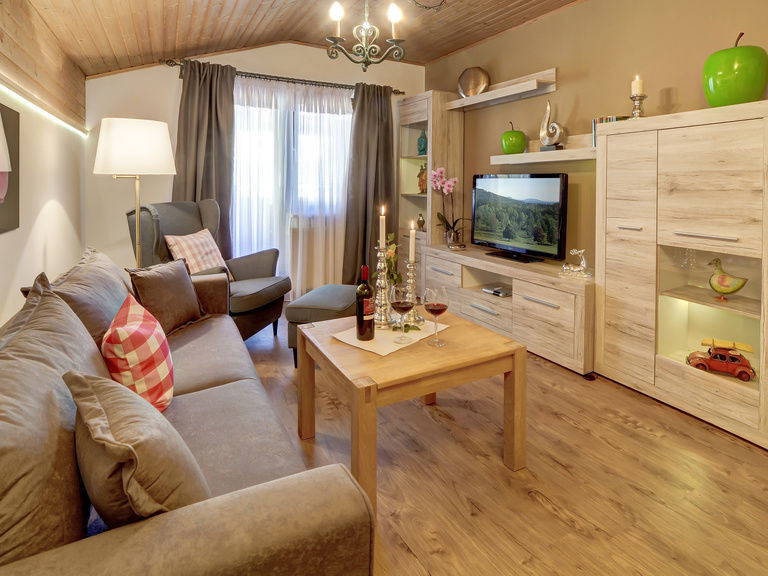 Wohnzimmer mit moderner Einrichtung in der Ferienwohnung Hirschenstein in Bodenmais