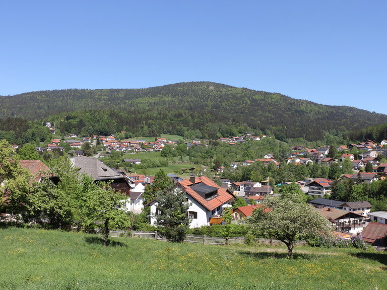 Blick auf den Hochzellberg in Bodenmais im Sommer