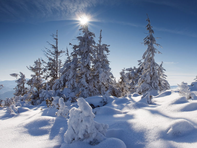 Verschneite Winterlandschaft im Bayerischen Wald