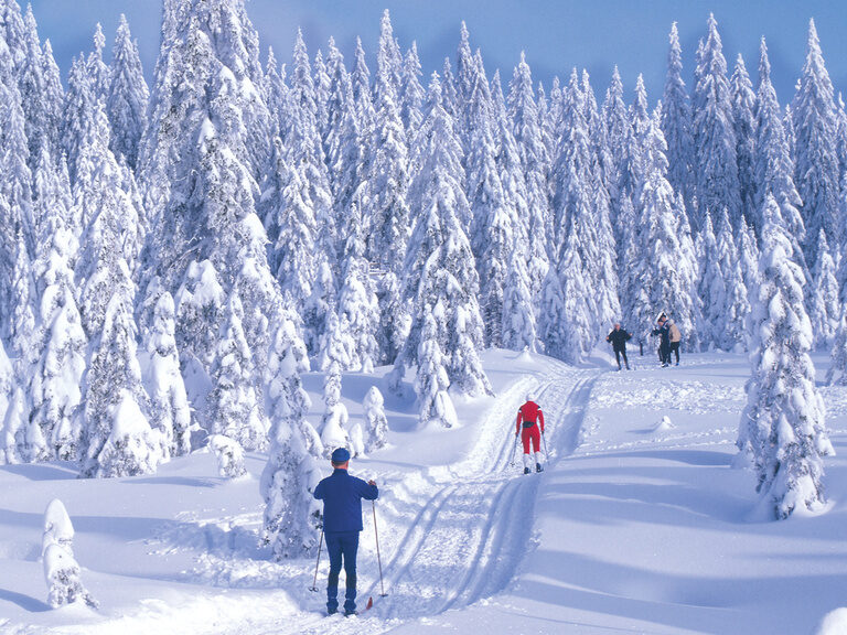 Langlaufparadies Bretterschachten bei Bodenmais im Bayersichen Wald