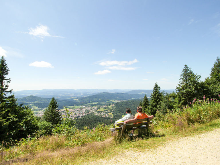 Panorama auf einer Aussichtsbank auf dem Hochzellberg auf Bodenmais und den Bayerischen Wald
