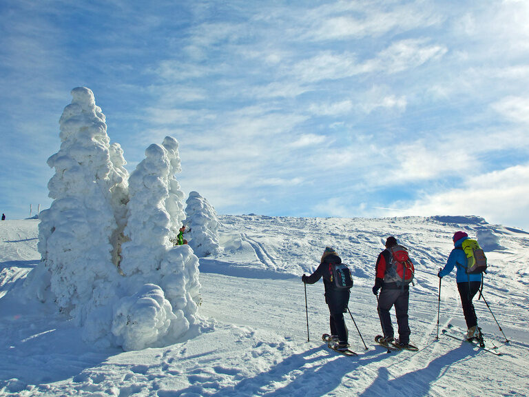 Schnee-Schuh-Tour in der Winterlandschaft im Bayerischen Wald