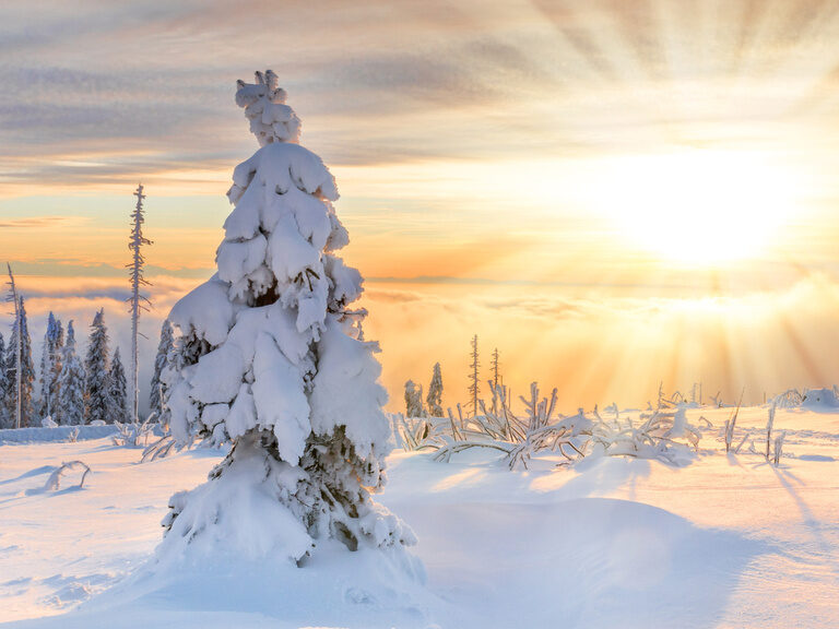 Sonnenuntergang in einer verscheiten Winterlandschaft im Bayerischen Wald