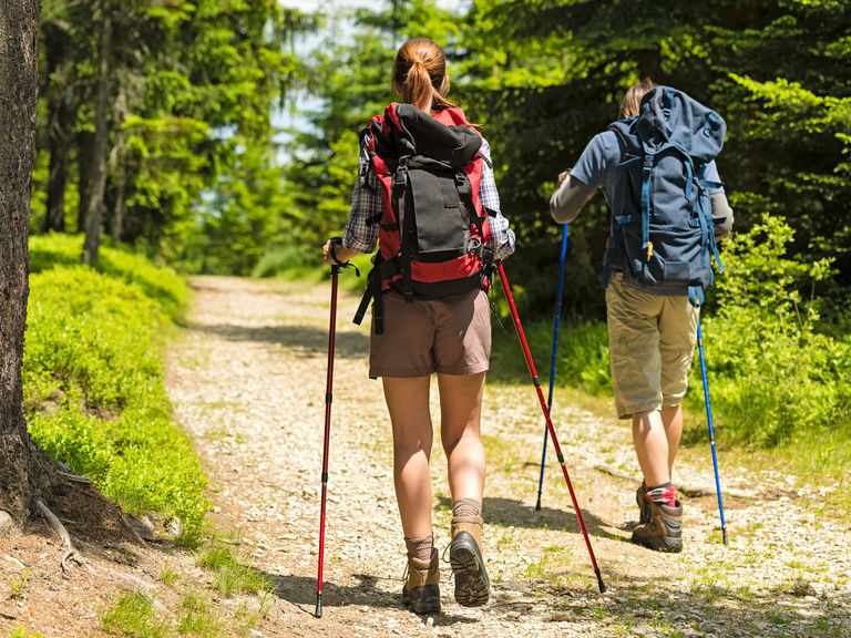 Wandern im Sommer im Bayersichen Wald