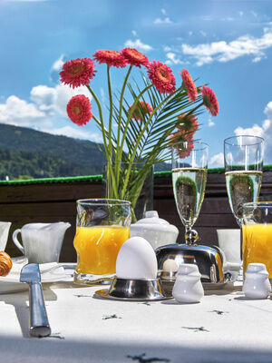Frühstück mit Aussicht auf dem Balkon der Ferienwohnung Silberberg in Bodenmais