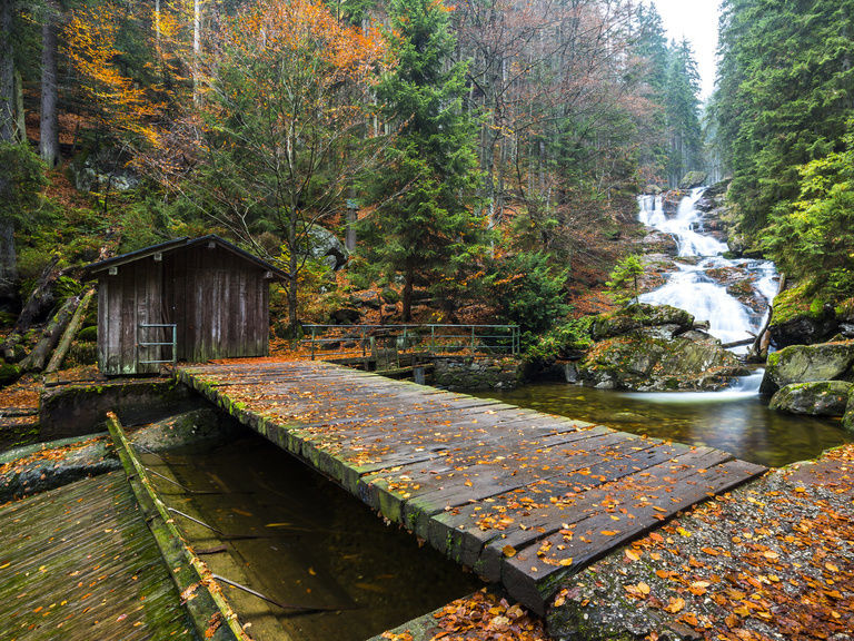 Rißloch Wasserfälle bei Bodenmais im Herbst