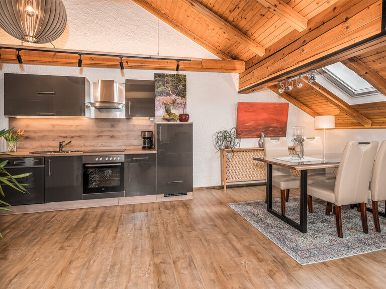 Moderne Küche in der Ferienwohnung Arber in Bodenmais Bayerischer Wald